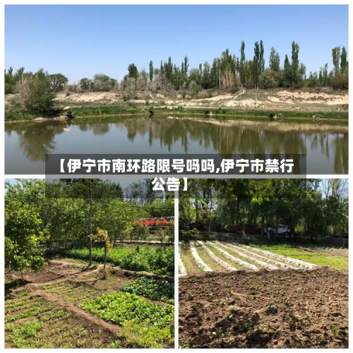 【伊宁市南环路限号吗吗,伊宁市禁行公告】