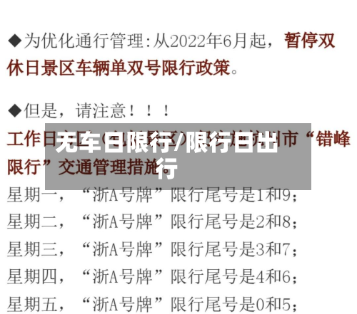 无车日限行/限行日出行