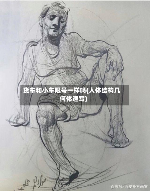 货车和小车限号一样吗(人体结构几何体速写)