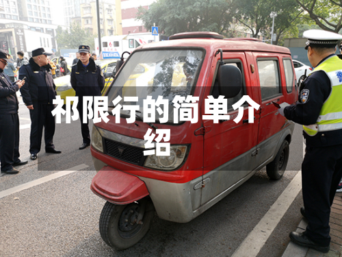 祁限行的简单介绍