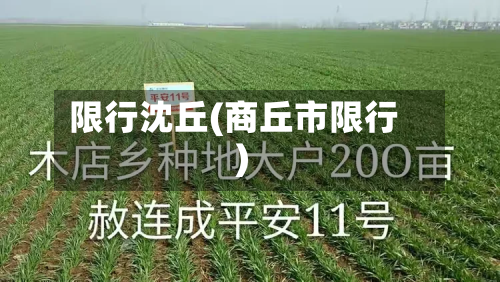 限行沈丘(商丘市限行)