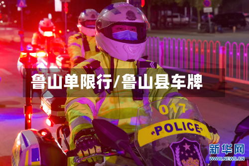 鲁山单限行/鲁山县车牌