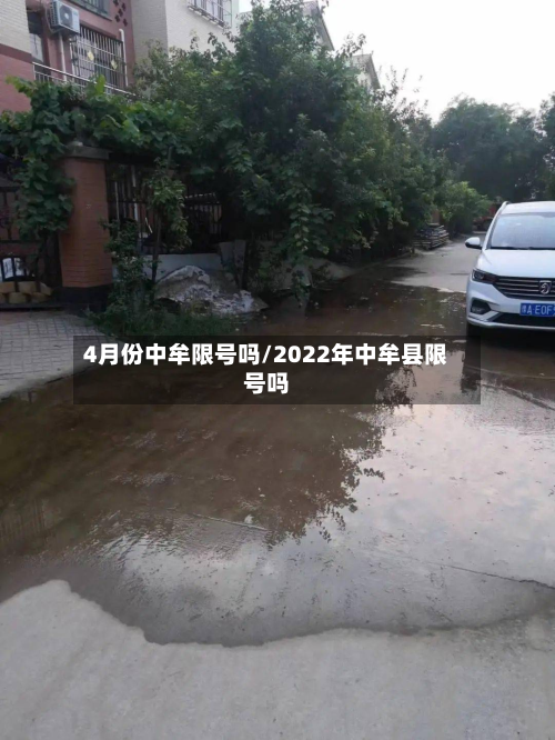 4月份中牟限号吗/2022年中牟县限号吗-第3张图片