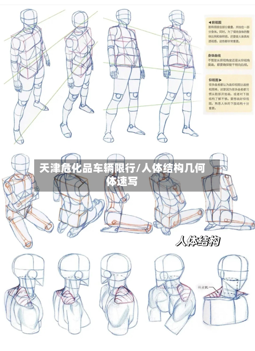 天津危化品车辆限行/人体结构几何体速写