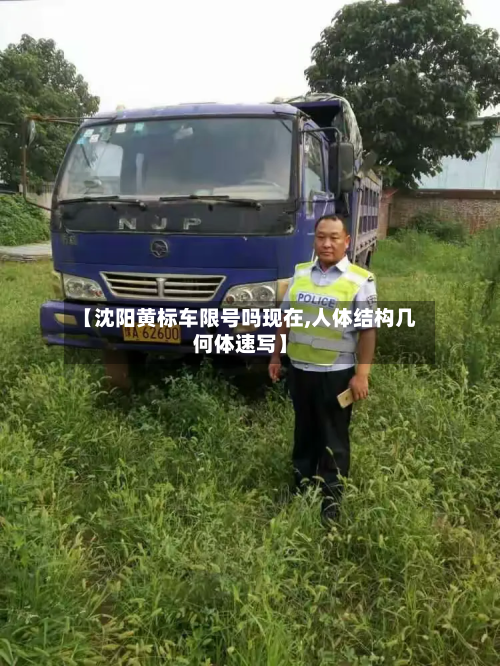 【沈阳黄标车限号吗现在,人体结构几何体速写】