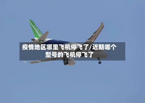 疫情地区哪里飞机停飞了/近期哪个型号的飞机停飞了