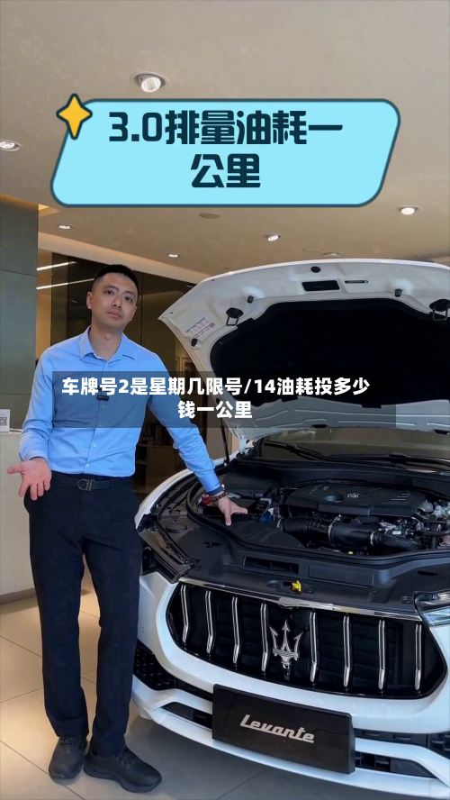 车牌号2是星期几限号/14油耗投多少钱一公里