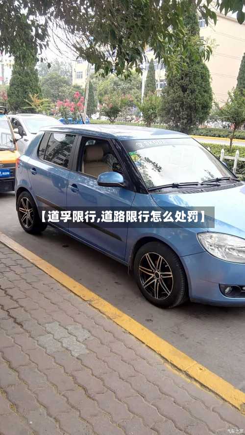 【道孚限行,道路限行怎么处罚】