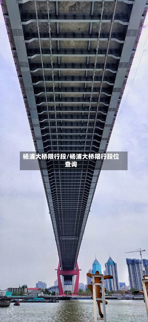 杨浦大桥限行段/杨浦大桥限行段位查询-第2张图片