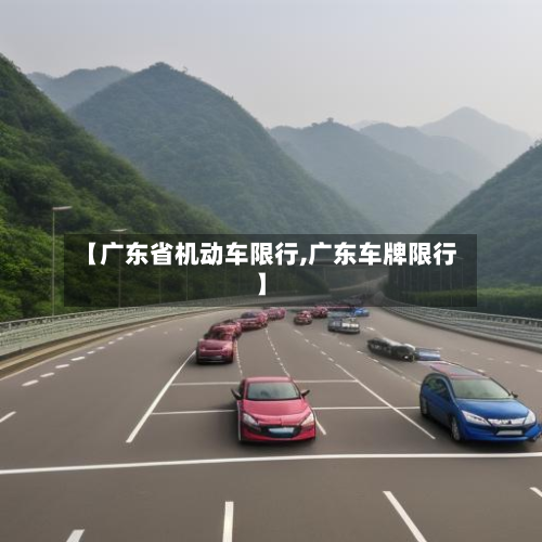 【广东省机动车限行,广东车牌限行】