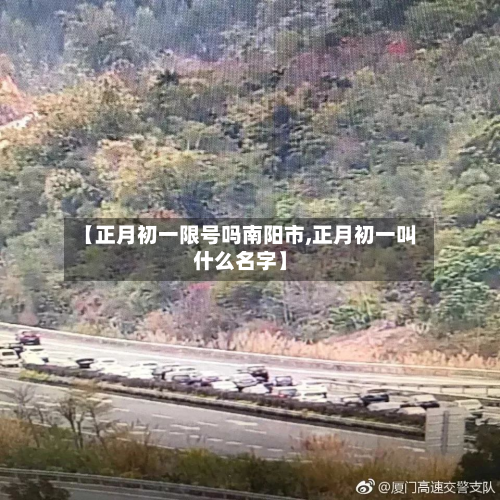 【正月初一限号吗南阳市,正月初一叫什么名字】