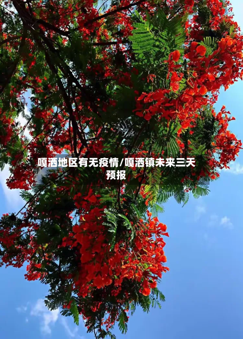 嘎洒地区有无疫情/嘎洒镇未来三天预报-第2张图片