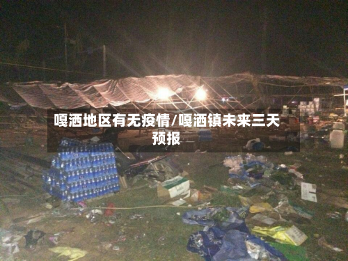 嘎洒地区有无疫情/嘎洒镇未来三天预报