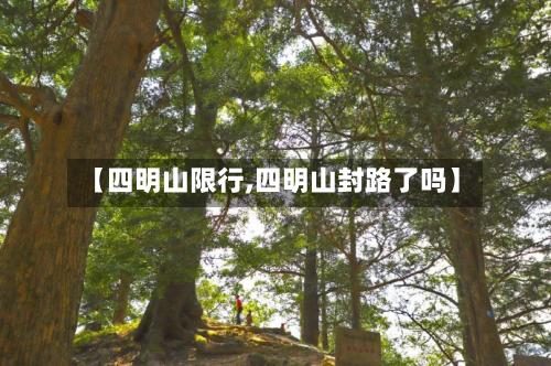 【四明山限行,四明山封路了吗】