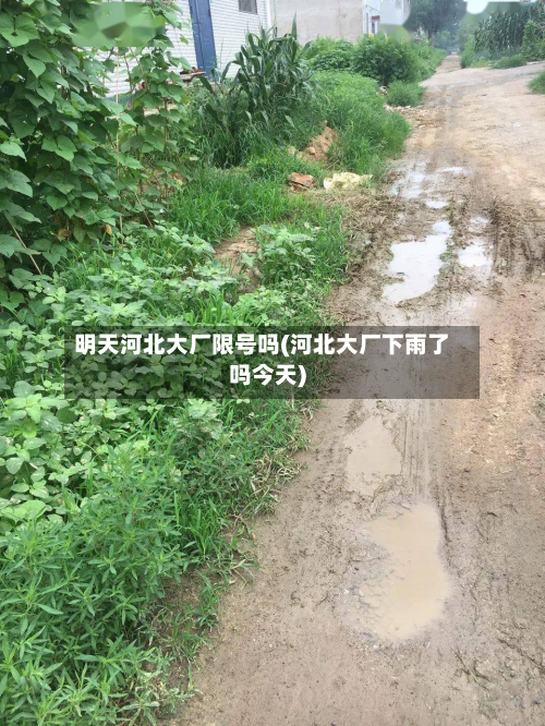 明天河北大厂限号吗(河北大厂下雨了吗今天)