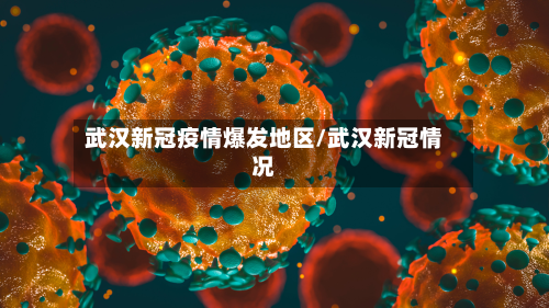 武汉新冠疫情爆发地区/武汉新冠情况-第3张图片