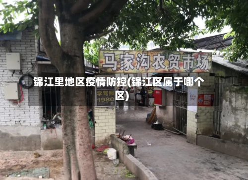 锦江里地区疫情防控(锦江区属于哪个区)-第1张图片