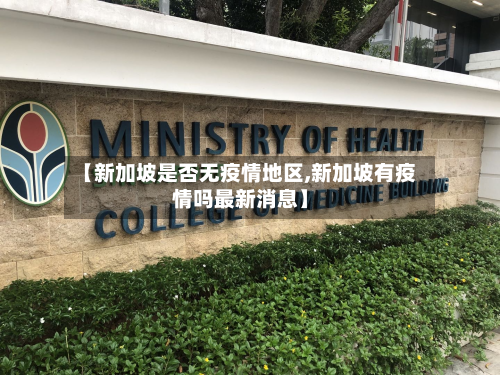 【新加坡是否无疫情地区,新加坡有疫情吗最新消息】-第1张图片