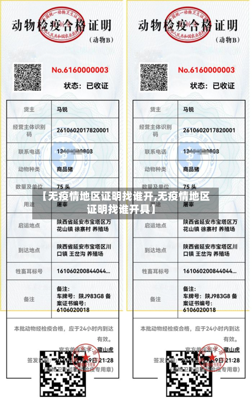 【无疫情地区证明找谁开,无疫情地区证明找谁开具】-第3张图片