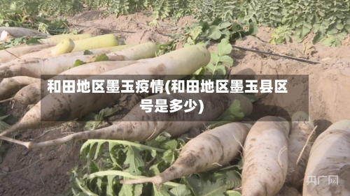 和田地区墨玉疫情(和田地区墨玉县区号是多少)-第1张图片