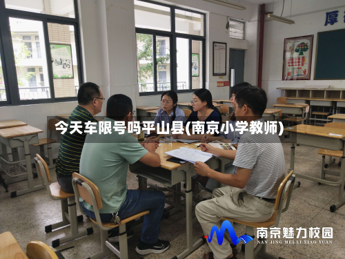 今天车限号吗平山县(南京小学教师)