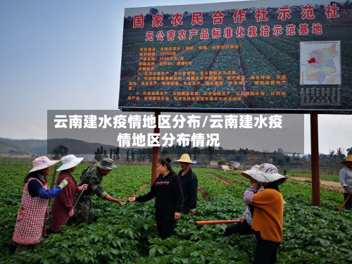 云南建水疫情地区分布/云南建水疫情地区分布情况-第2张图片