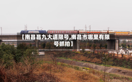 【南昌昌九大道限号,南昌市哪里有限号抓拍】-第2张图片