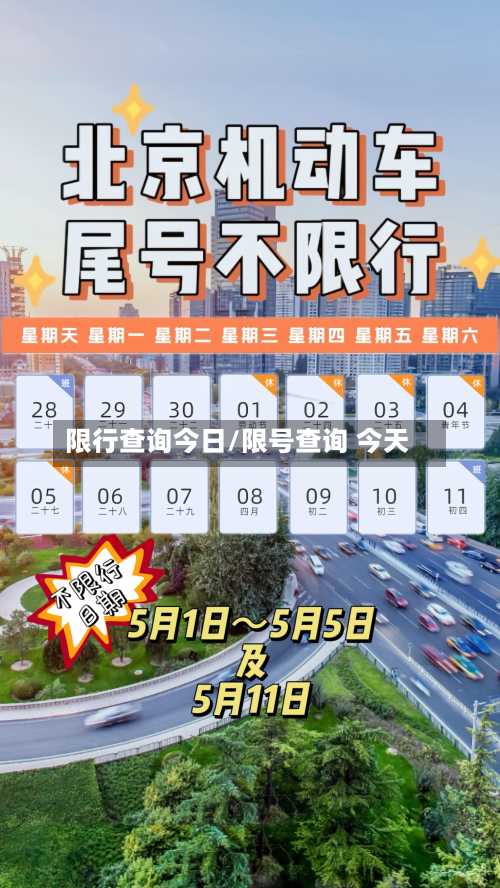 限行查询今日/限号查询 今天