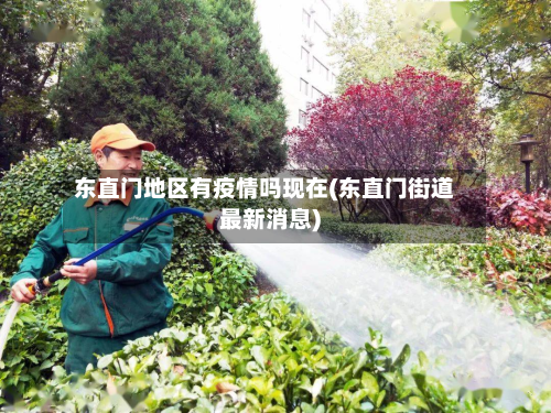 东直门地区有疫情吗现在(东直门街道最新消息)