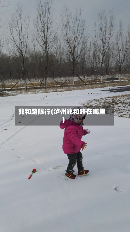 兆和路限行(泸州兆和路在哪里)-第3张图片