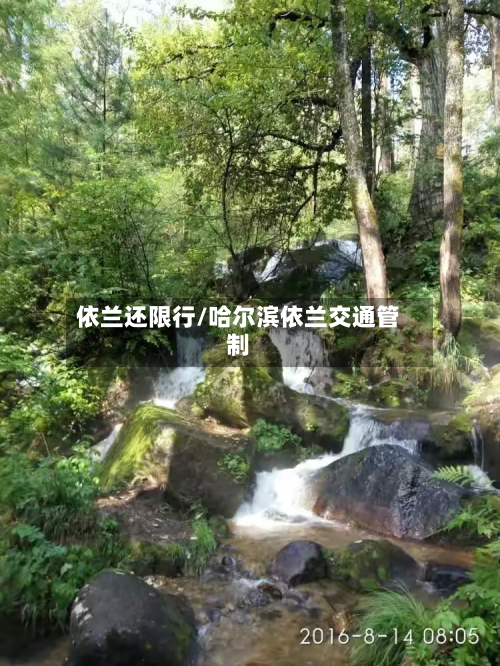 依兰还限行/哈尔滨依兰交通管制-第2张图片