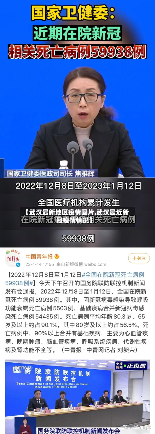 【武汉最新地区疫情图片,武汉最近新冠疫情情况】-第2张图片