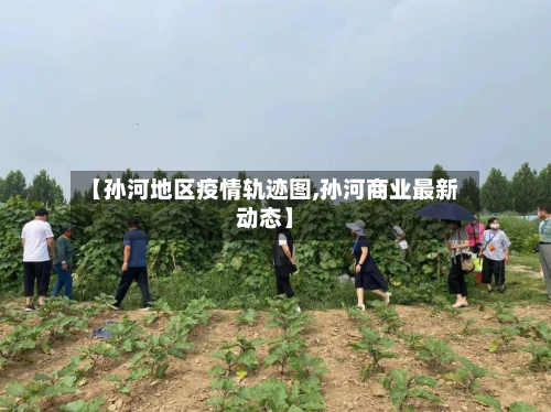 【孙河地区疫情轨迹图,孙河商业最新动态】-第2张图片