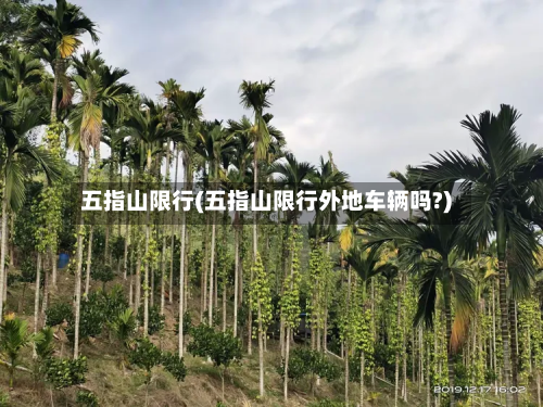五指山限行(五指山限行外地车辆吗?)