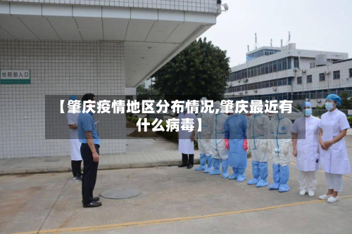 【肇庆疫情地区分布情况,肇庆最近有什么病毒】-第2张图片