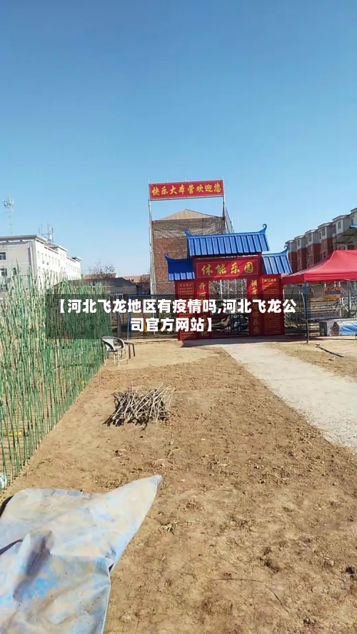 【河北飞龙地区有疫情吗,河北飞龙公司官方网站】