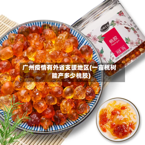 广州疫情有外省支援地区(一亩桃树能产多少桃胶)