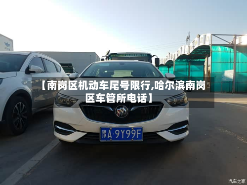 【南岗区机动车尾号限行,哈尔滨南岗区车管所电话】-第2张图片