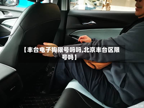 【丰台电子狗限号吗吗,北京丰台区限号吗】
