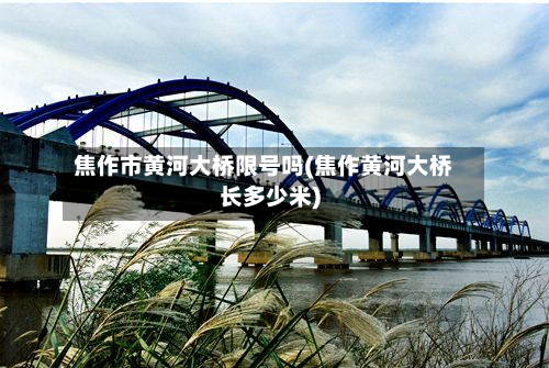焦作市黄河大桥限号吗(焦作黄河大桥长多少米)