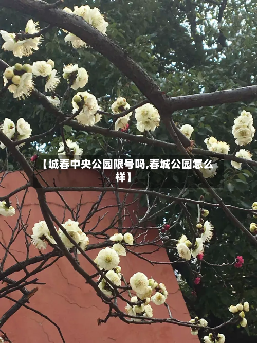 【城春中央公园限号吗,春城公园怎么样】