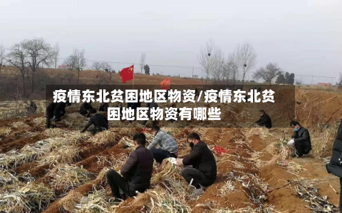 疫情东北贫困地区物资/疫情东北贫困地区物资有哪些