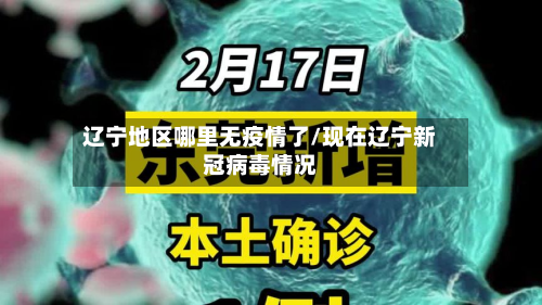 辽宁地区哪里无疫情了/现在辽宁新冠病毒情况