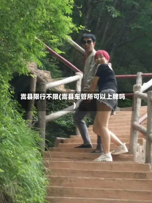 嵩县限行不限(嵩县车管所可以上牌吗)