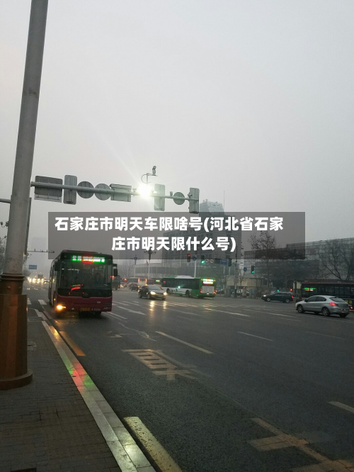 石家庄市明天车限啥号(河北省石家庄市明天限什么号)-第1张图片