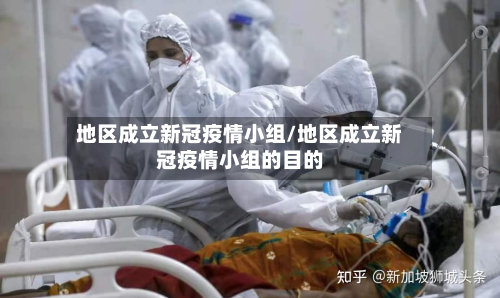地区成立新冠疫情小组/地区成立新冠疫情小组的目的-第2张图片