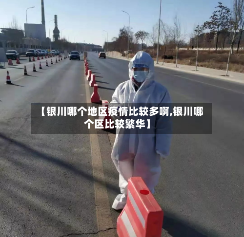【银川哪个地区疫情比较多啊,银川哪个区比较繁华】