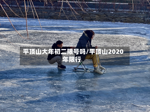 平顶山大年初二限号吗/平顶山2020年限行