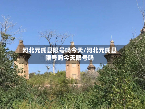 河北元氏县限号吗今天/河北元氏县限号吗今天限号吗-第2张图片