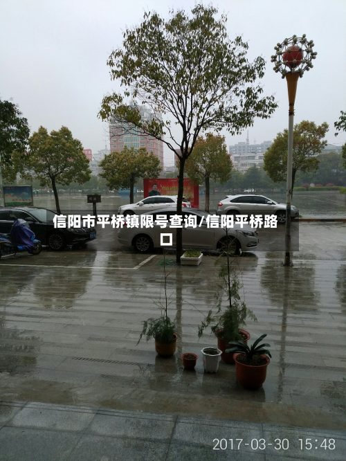 信阳市平桥镇限号查询/信阳平桥路口-第2张图片